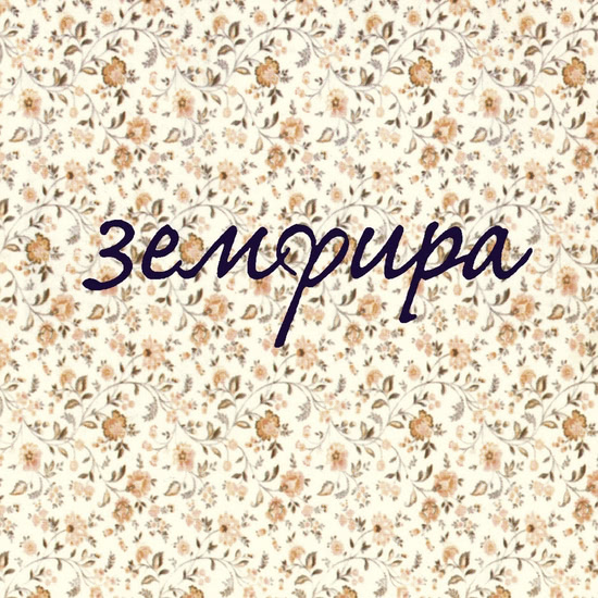 Земфира - Синоптик (Песня) 1999