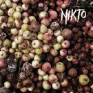 Nikto - Nikto (Альбом) 2019
