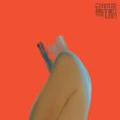 Zimne, Тонетая - Животное (Сингл) 2019