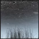 flowers in your eyes - заплакать и уснуть (Альбом) 2020