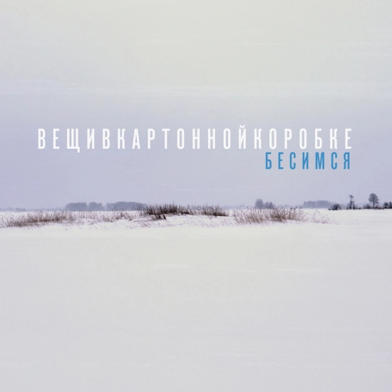 вещивкартоннойкоробке - Бесимся (Сингл) 2022