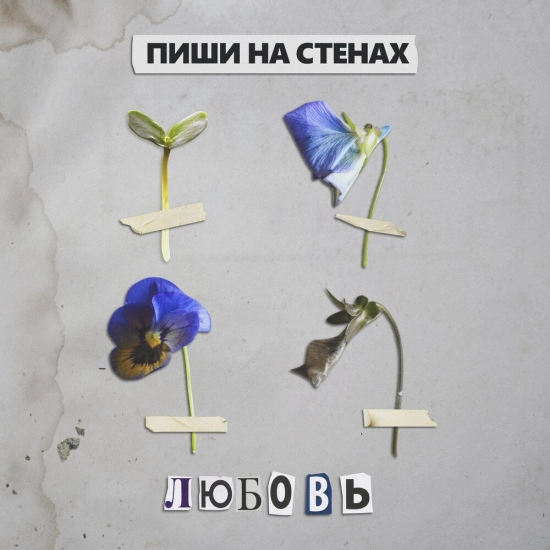 ПИШИ НА СТЕНАХ - Любовь (Сингл) 2021
