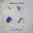 ПИШИ НА СТЕНАХ - Любовь (Сингл) 2021