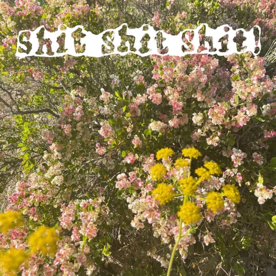 shit shit shit! (ssshhhiiittt!) - огонь (Трек) 2022