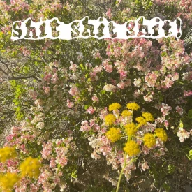 shit shit shit! - SUNSAD (Альбом) 2022