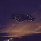 Горький - С.Б.А. (Альбом) 2016