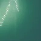 номер скрыт - фонарики (Сингл) 2022