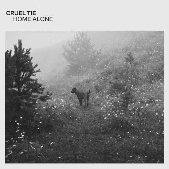 Cruel Tie - Home Alone (Песня) 2022