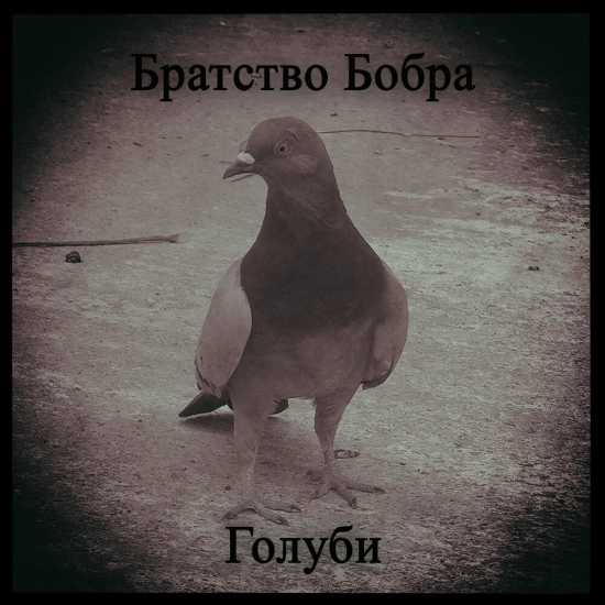 Братство бобра - Сингл Голуби (Сингл) 2020