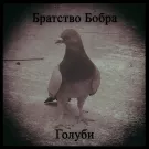 Братство бобра - Сингл Голуби (Сингл) 2020