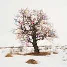 ВАНДЕРДОГ - Всё, что останется (Мини-альбом) 2023