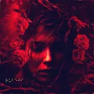 Рубежи - О шипах и розах (Альбом) 2023