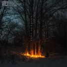 Почему коммутатор молчит - Грудной сбор (Альбом) 2023