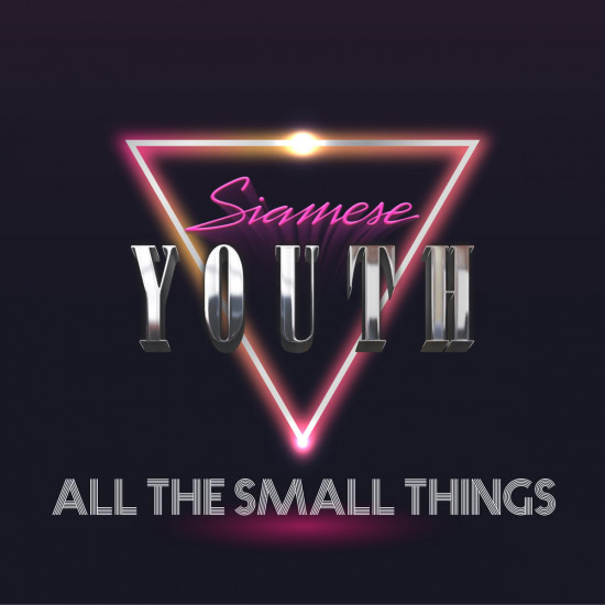 Siamese Youth - All The Small Things (Сингл) 2019