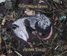 4 позиции Бруно - Делай Так (Мини-альбом) 2014