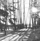 Motorama - Far Away from the City (Сингл) 2011