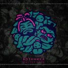 Ботаника - МИСТЕР РЕЙВ (Сингл) 2019