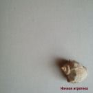 Ночная игротека - Это так просто (Сингл) 2019