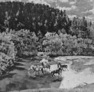 ТЭЦ - Видел я немало лошадей (Сингл) 2019