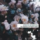 Эрнесто Заткнитесь - Ты родила сегодня сына (Сингл) 2019