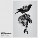 Mujuice - Metamorphosis Live in Moscow / Sound Up Forte Festival / New Tretyakov Gallery (Альбом) 2020
