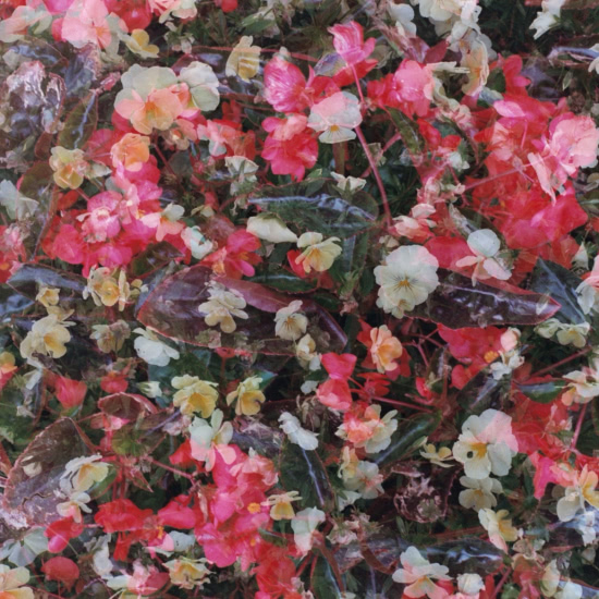 Автоспорт - Пожалуйста, только не домой (Сингл) 2017