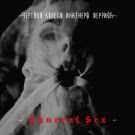 Чёртово колесо инженера Ферриса - Funeral Sex (Альбом) 2020