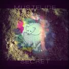 Mustelide - Secret (Альбом) 2014