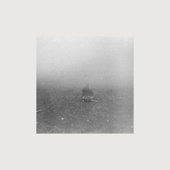 Steamboats - Туман (Сингл) 2016