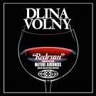 Dlina Volny - Redrum (Сингл) 2021