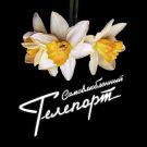 Телепорт - Самовлюблённый (Сингл) 2020
