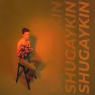 Shugaykin - Нормальный альбом (Альбом) 2021